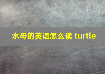 水母的英语怎么读 turtle